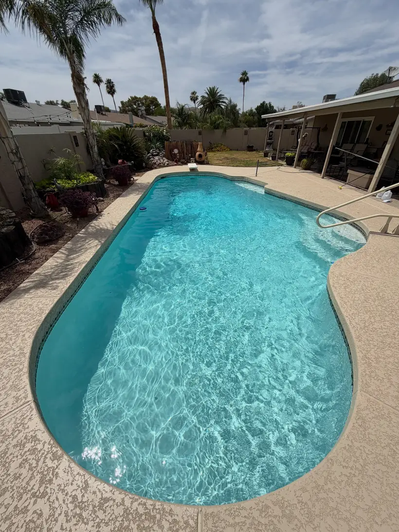 Resurfaced freeform pool with palm trees