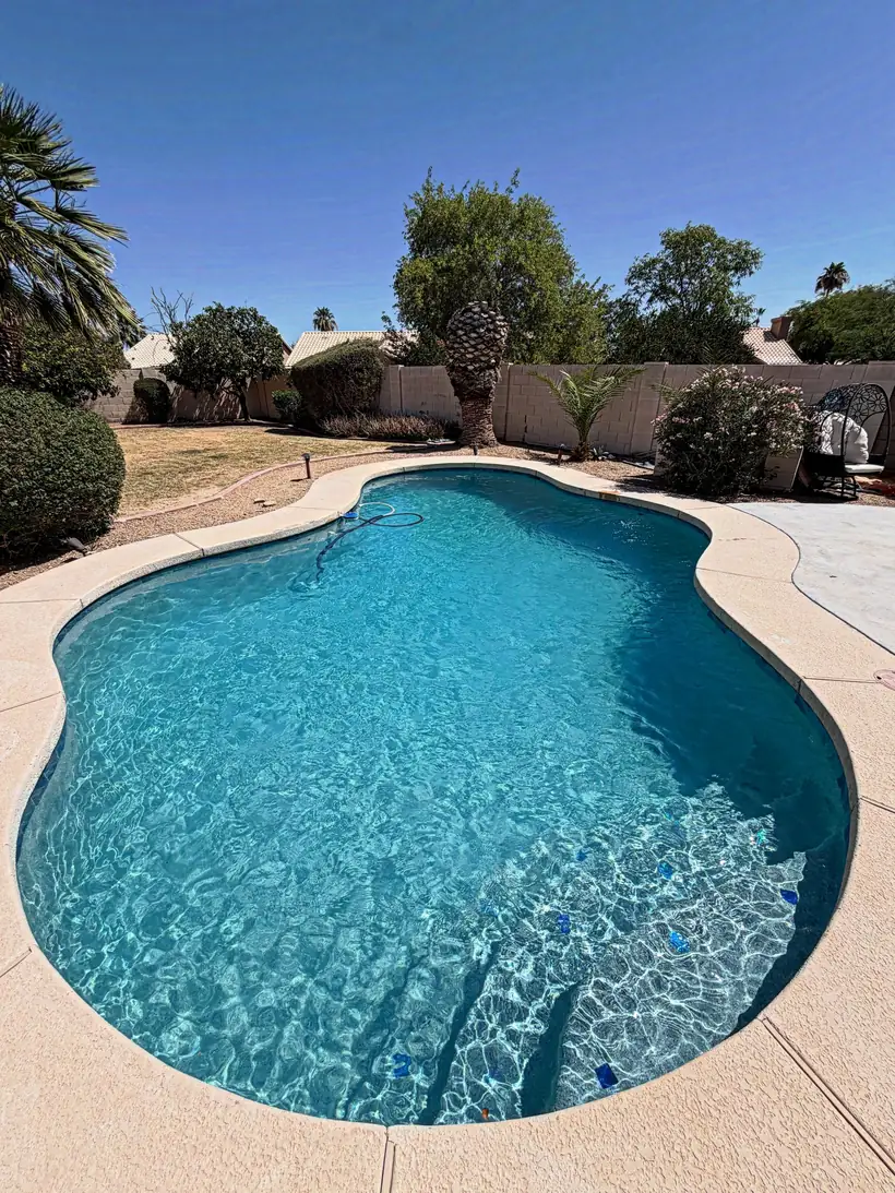 Freeform pool with new pebble finish and desert landscaping
